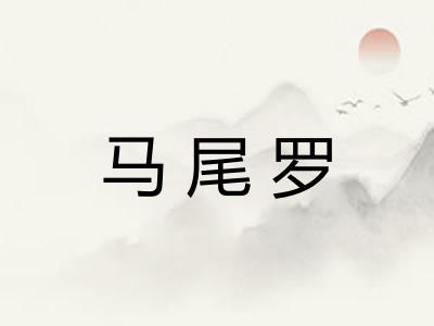 马尾罗 马尾罗