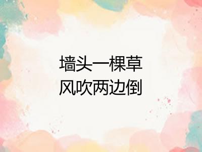 墙头一棵草风吹两边倒 墙头一棵草风吹两边倒