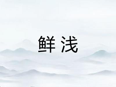 鲜浅