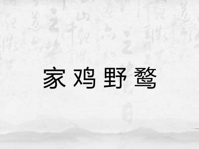 家鸡野鹜