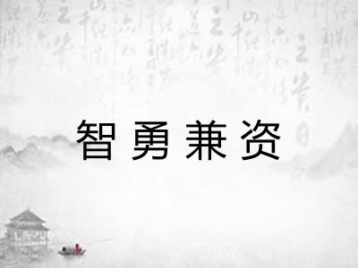 智勇兼资