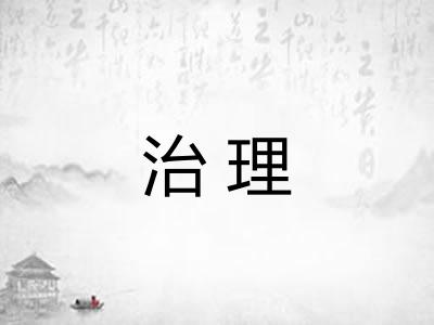 治理