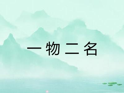 一物二名