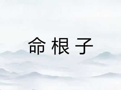 命根子 命根子