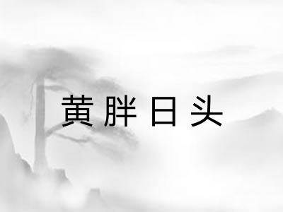黄胖日头