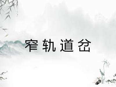 窄轨道岔 窄轨道岔