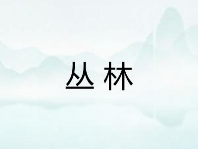 丛林