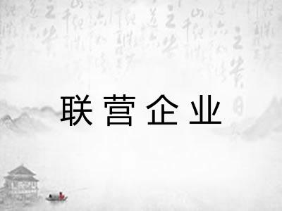 联营企业