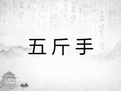 五斤手