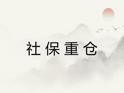 社保重仓