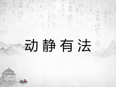 动静有法