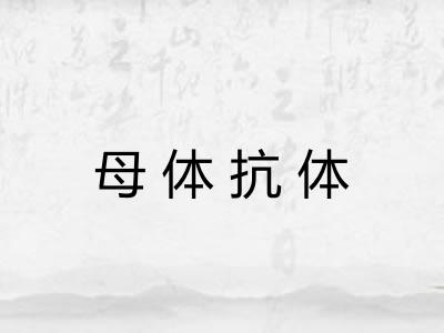 母体抗体