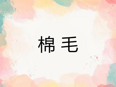 棉毛 棉毛