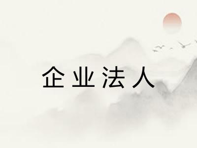 企业法人