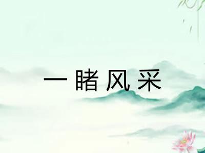 一睹风采 一睹风采