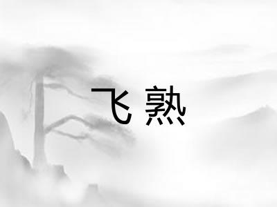 飞熟