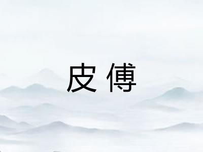 皮傅