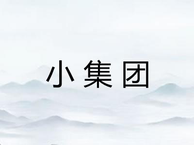 小集团