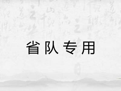 省队专用 省队专用