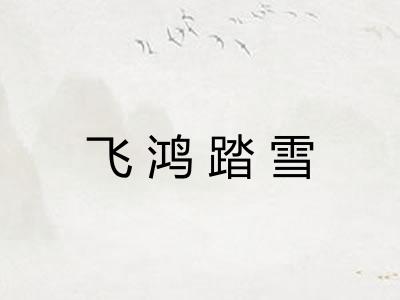 飞鸿踏雪