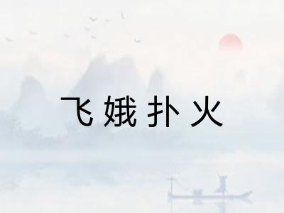 飞娥扑火 飞娥扑火
