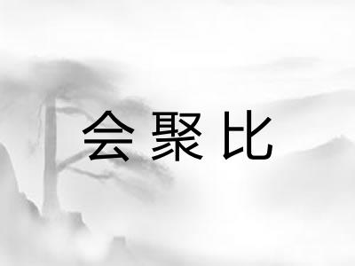 会聚比 会聚比