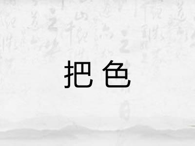 把色