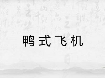 鸭式飞机
