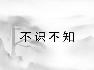 不识不知