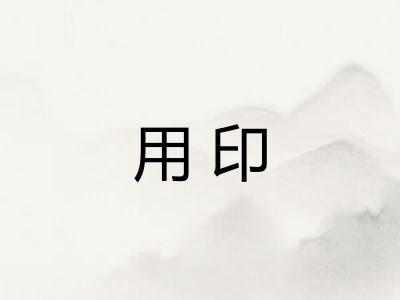 用印