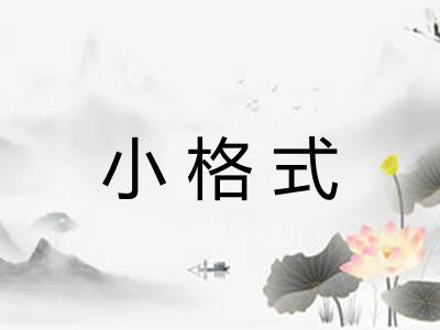 小格式