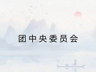 团中央委员会 团中央委员会