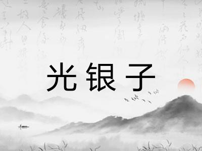 光银子