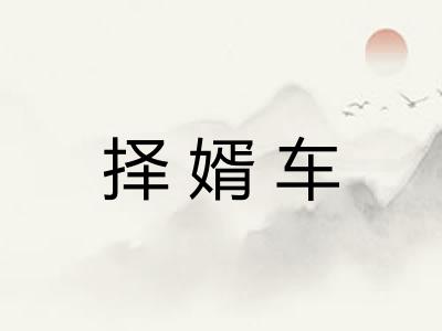 择婿车