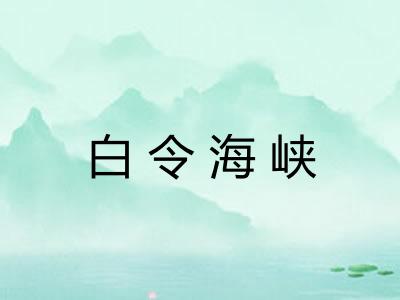 白令海峡 白令海峡