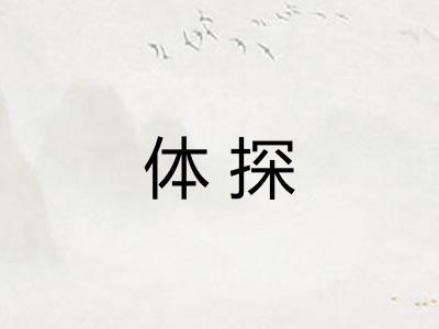 体探