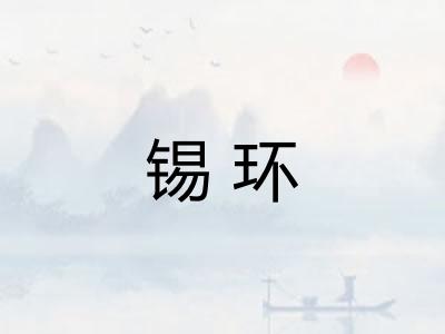 锡环