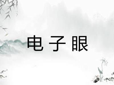 电子眼