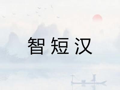 智短汉