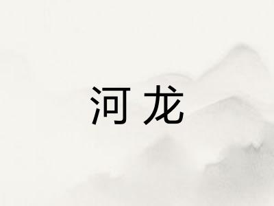 河龙