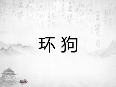 环狗 环狗