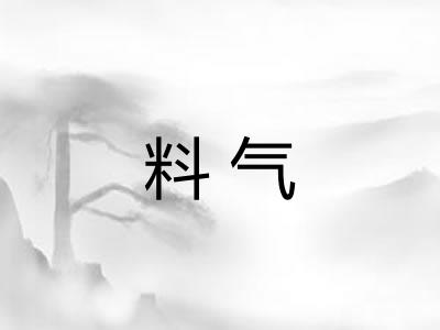 料气 料气