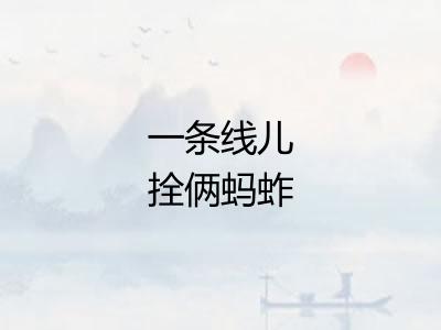 一条线儿拴俩蚂蚱