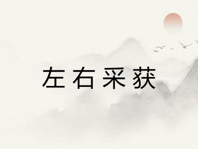 左右采获 左右采获