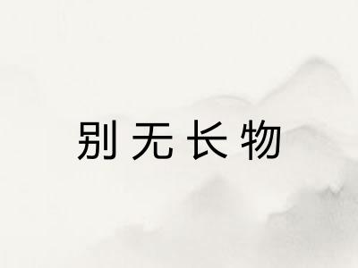 别无长物