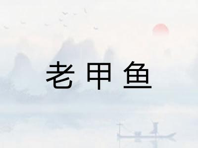 老甲鱼 老甲鱼