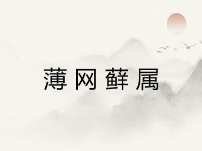 薄网藓属 薄网藓属