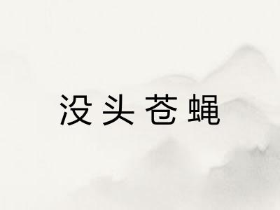 没头苍蝇