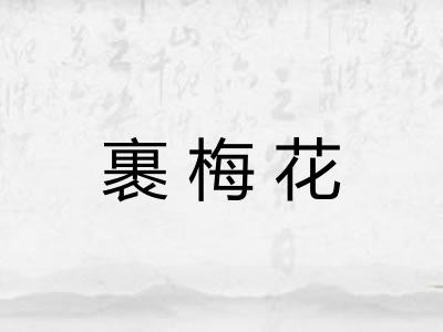 裹梅花
