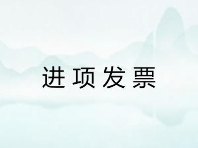 进项发票 进项发票